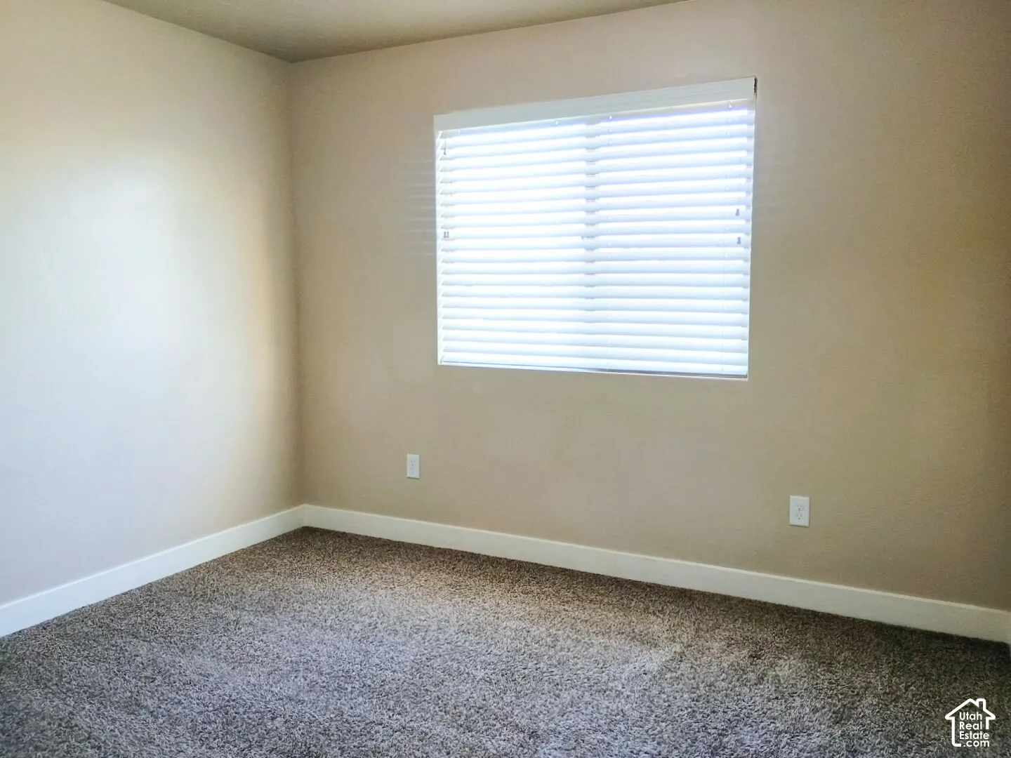 Neutral-toned interior space featuring wall-to-wall carpeting and a window equipped with horizontal slat blinds