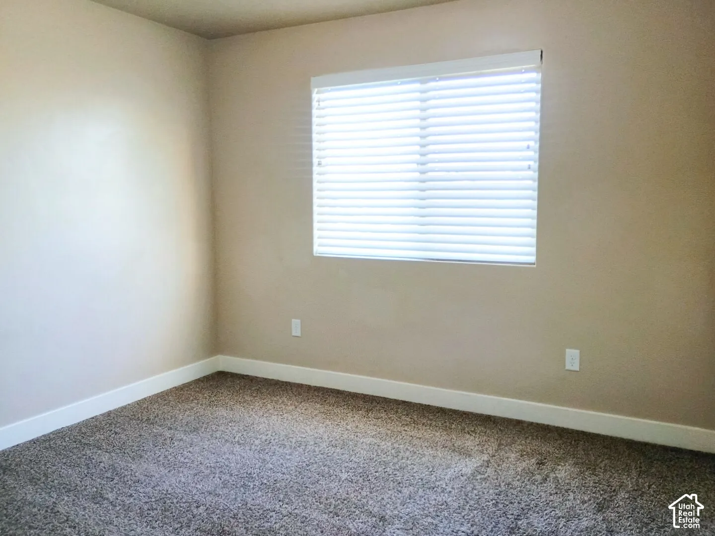 Neutral wall tones, wall-to-wall carpeting, and window with white horizontal blinds