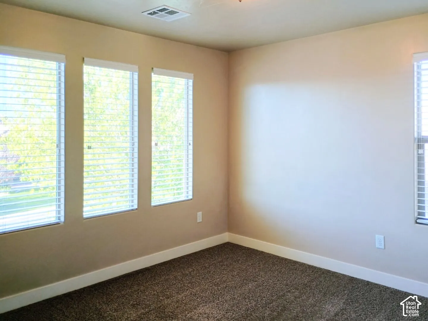 Neutral wall finish, deep-pile carpet, and four windows featuring integrated horizontal blinds