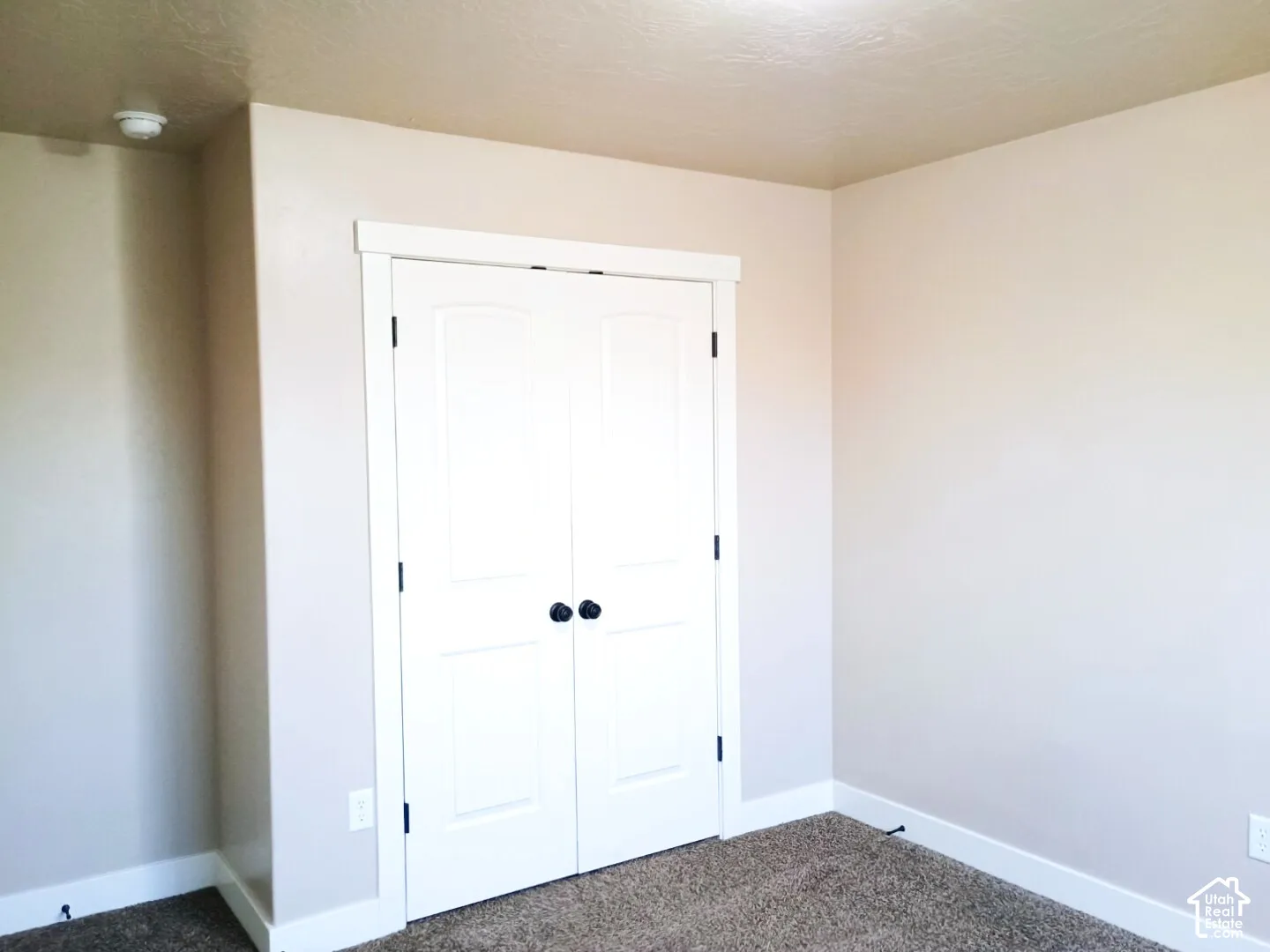 Double-door closet featuring white paneled doors, matte black hardware, and neutral wall-to-wall carpeting