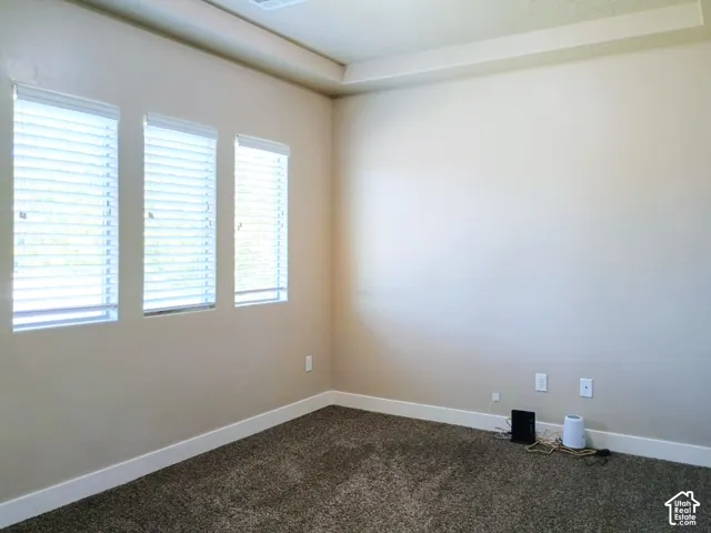 Room interior featuring carpeted flooring, three windows with fitted blinds, and a tray ceiling