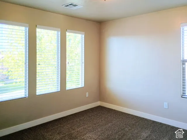 Neutral wall finish, deep-pile carpet, and four windows featuring integrated horizontal blinds