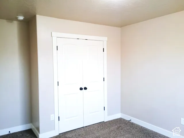 Double-door closet featuring white paneled doors, matte black hardware, and neutral wall-to-wall carpeting