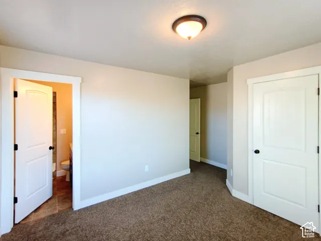Neutral-toned walls, carpeted flooring, two-panel interior doors with matte black hardware, and a flush-mount ceiling light fixture