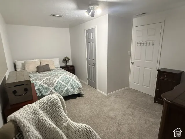 Neutral-toned carpeted room featuring a ceiling-mounted multi-directional light fixture and interior paneled doors