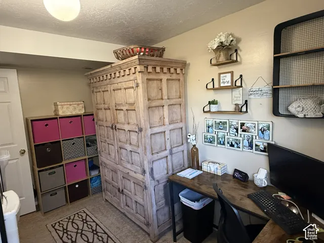 Interior room featuring wall-mounted shelving and a flush-mount ceiling light fixture