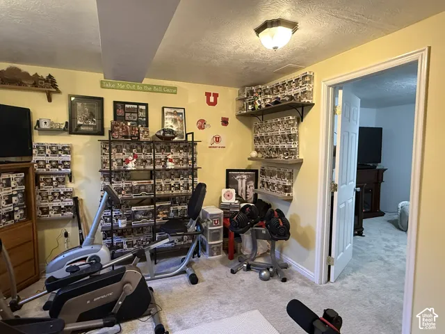 Wall-mounted shelving units, neutral wall paint, carpeted flooring, and a flush-mount light fixture