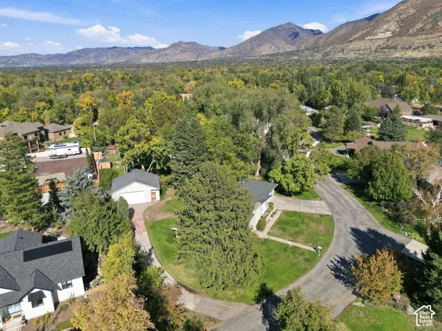 Aerial perspective featuring a detached garage, concrete driveway, mature trees, manicured landscaping, and a prominent mountain backdrop