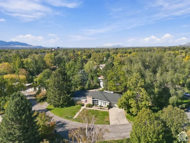 Single-level residence featuring a pitched shingle roof, masonry exterior chimney, attached multi-car garage, and concrete driveway, all situated on a lot with mature trees and mountain scenery