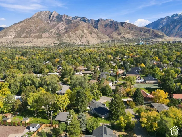 Aerial perspective showcasing expansive mountain terrain and dense mature tree canopy