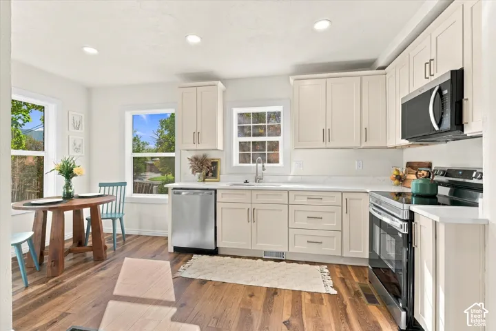 Kitchen featuring shaker-style cabinetry, solid-surface countertops, stainless steel appliances, recessed lighting, and wood-finish flooring
