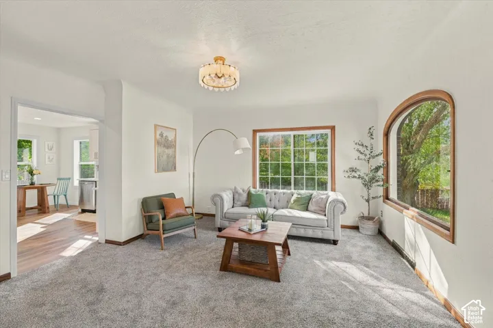Living area featuring an arched window, wood-trimmed window casings, and a decorative flush-mount ceiling fixture