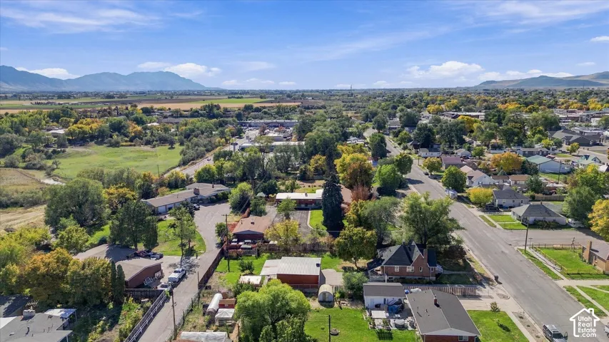 Aerial perspective featuring mature trees, expansive landscape, and mountain backdrop