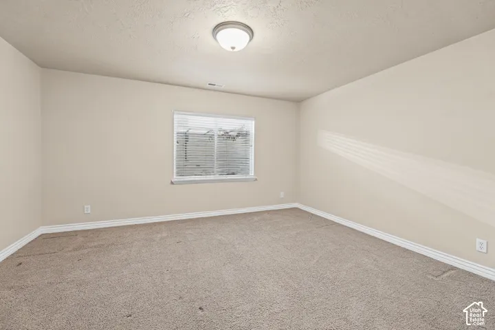 Basement bedroom 2