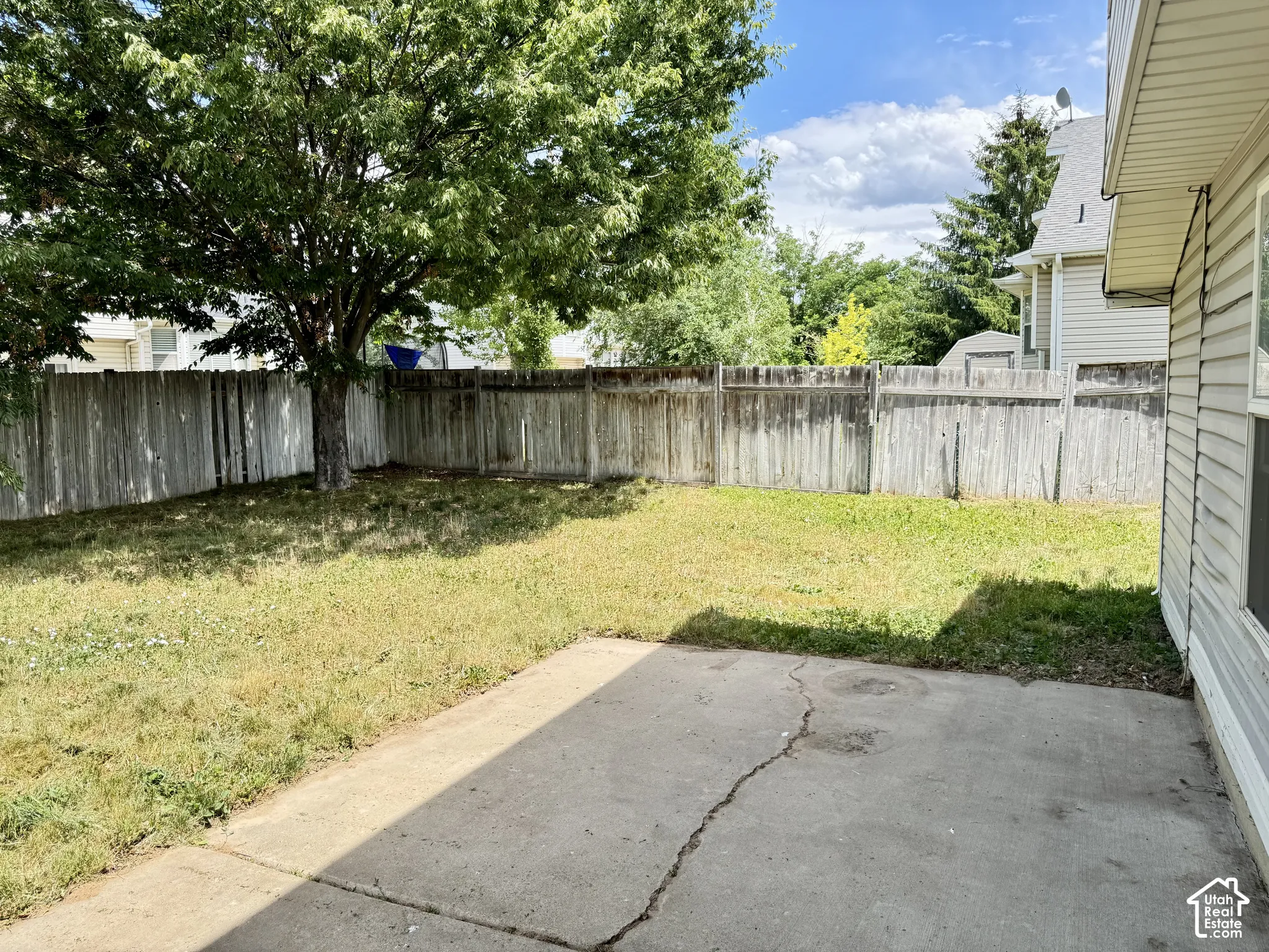 Backyard featuring a concrete patio, wood fencing, and a mature tree