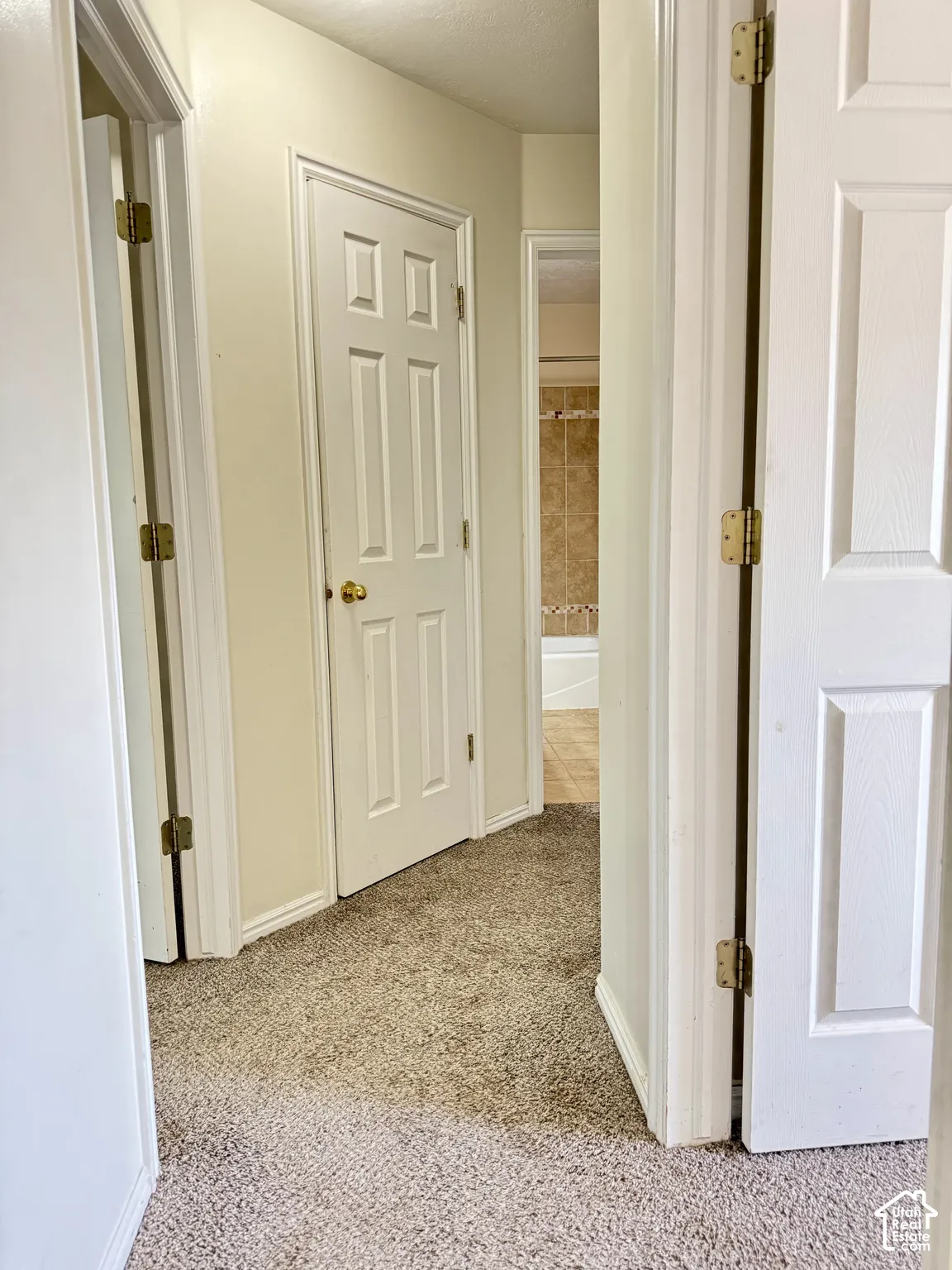 Hallway featuring carpeted flooring and six-panel interior doors with brass hardware