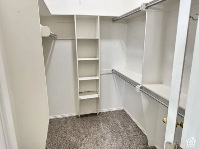 Walk-in closet featuring white built-in shelving, integrated storage towers, and dual-level metal hanging rods over wall-to-wall carpeting