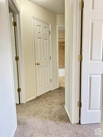 Hallway featuring carpeted flooring and six-panel interior doors with brass hardware