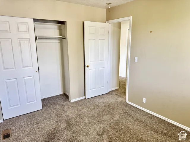 Interior space featuring neutral-toned walls, carpeting, dual-panel interior doors, and a built-in closet with overhead shelving and a hanging rod