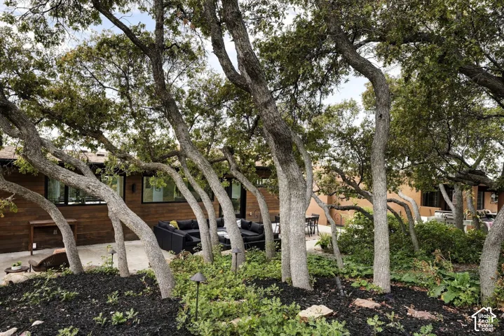 Sprawling backyard featuring mature trees, landscaped garden beds with dark mulch, and a concrete patio