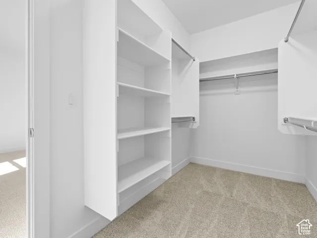 Walk-in closet featuring white built-in shelving, integrated hanging rods, and carpeted flooring
