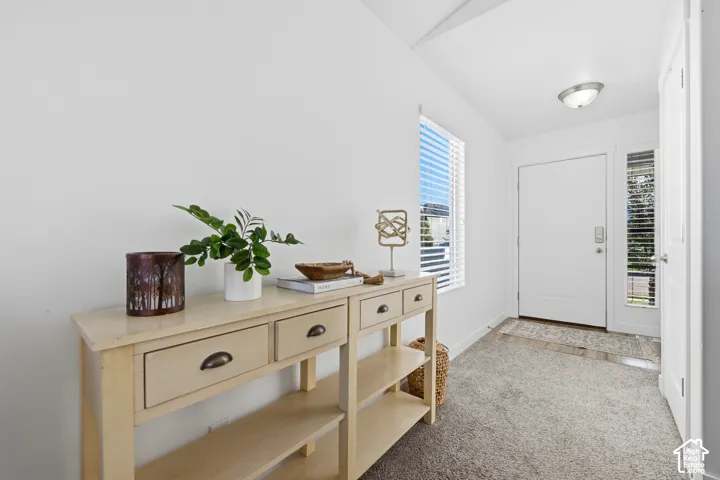 Entryway featuring a white paneled door with sidelight window, neutral wall-to-wall carpeting, and flush-mount ceiling lighting