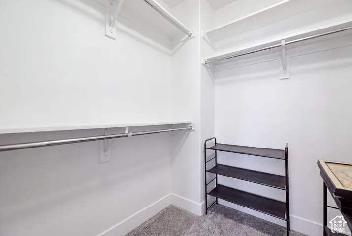 Walk-in closet featuring tiered white shelving, wall-mounted metal clothing rods, and gray carpeted flooring