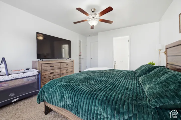 Neutral interior space featuring carpeted flooring, a ceiling fan with integrated lighting, and multiple interior doors