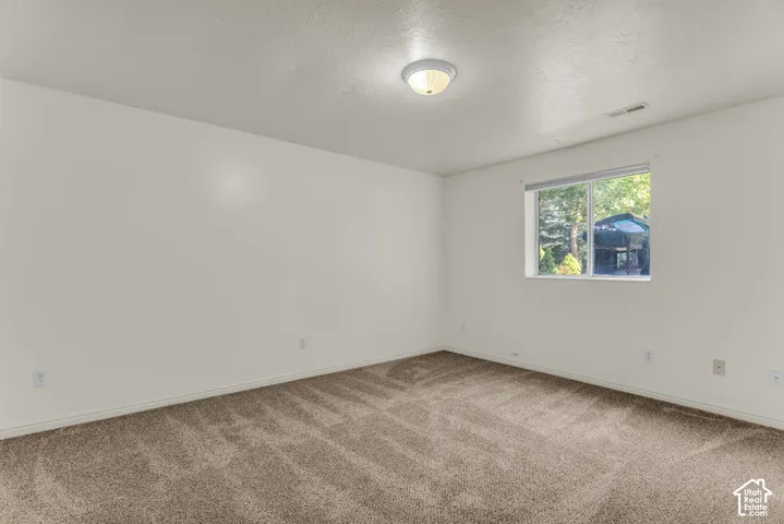 Neutral interior space featuring wall-to-wall carpeting, a large sliding window, and a flush-mount ceiling light fixture