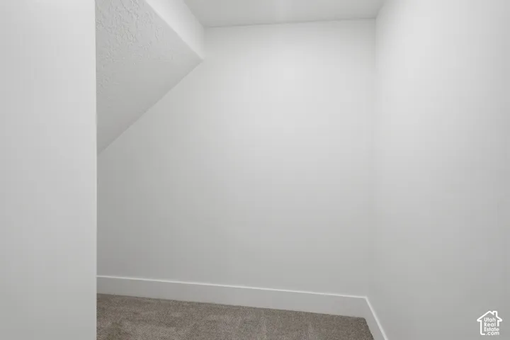 Enclosed storage alcove featuring neutral-toned carpeting and smooth white wall finishes