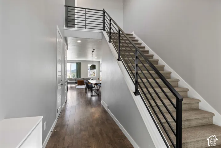 Staircase featuring a matte black horizontal railing, carpeted treads, wood-finish flooring, and high ceilings