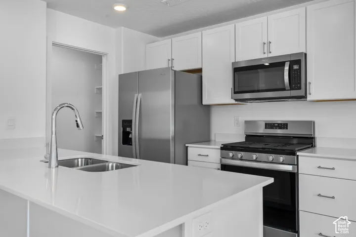 Kitchen featuring white shaker-style cabinetry, a quartz countertop island with a dual-basin undermount sink, and stainless steel appliances