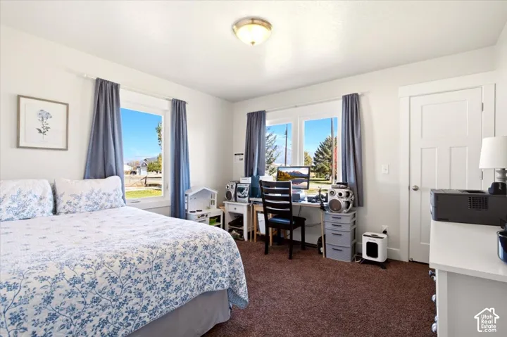 Interior space featuring neutral wall tones, plush wall-to-wall carpeting, multiple windows, and a classic four-panel interior door