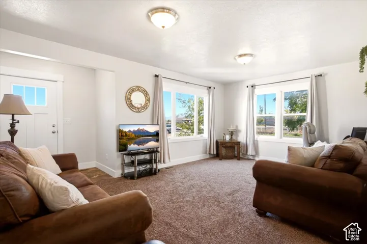Neutral-toned living space featuring wall-to-wall carpeting, multiple windows providing natural light, and ceiling-mounted dome lighting