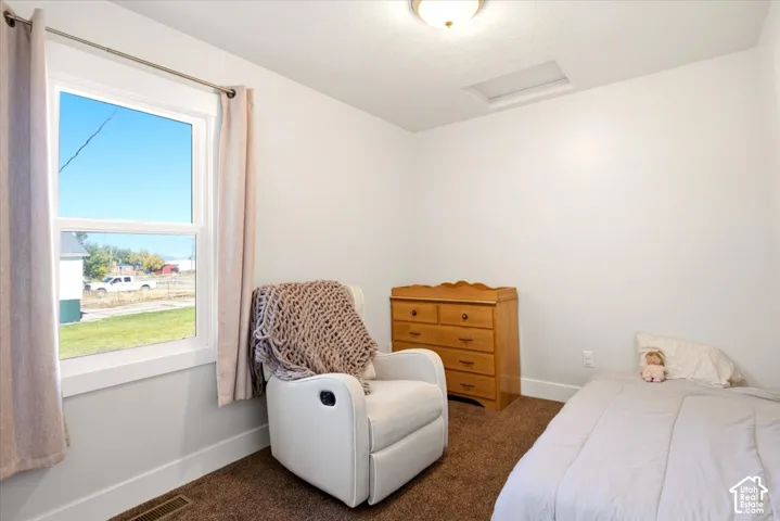 Bedroom featuring neutral-toned carpeting, a dual-pane window with white trim, and a ceiling-mounted light fixture