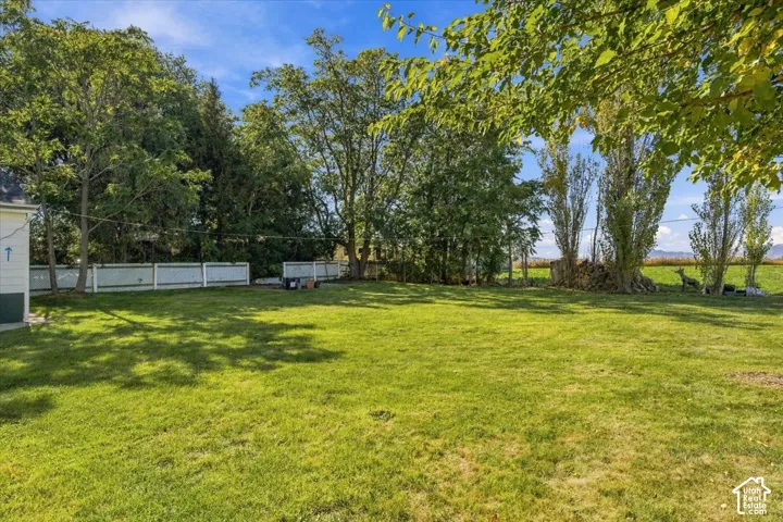 Expansive backyard featuring a large grass lawn, white perimeter fencing, and mature trees