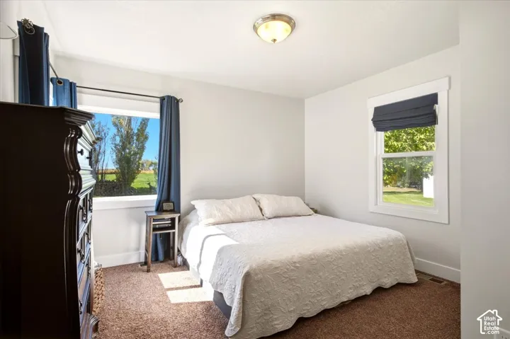 Bedroom featuring neutral wall paint, carpeted flooring, two windows with exterior scenery, and a dome-style flush-mount ceiling light