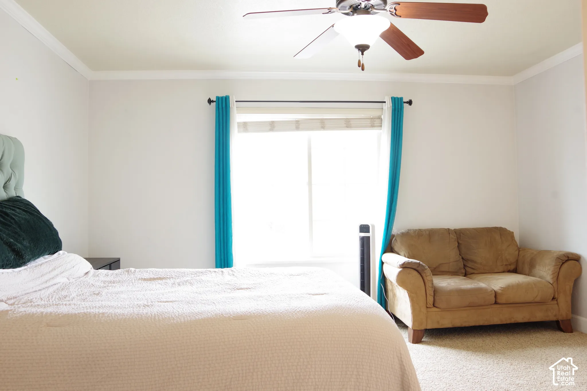 Neutral wall color, ceiling fan with light fixture, sliding window, and crown molding