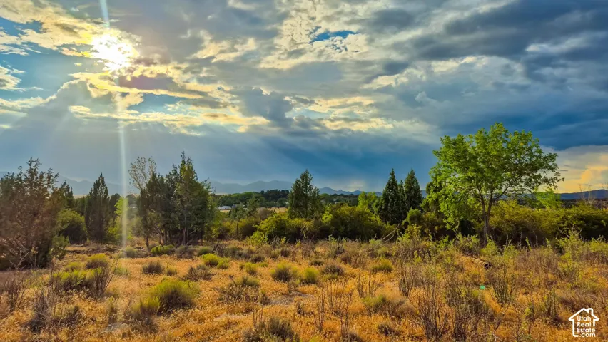 Expansive lot featuring native vegetation, mature trees, and mountainous terrain