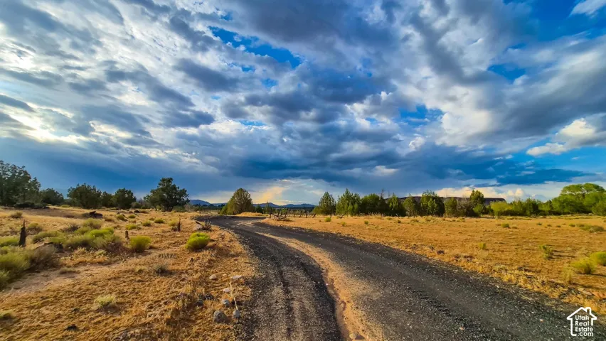 Expansive acreage featuring native high-desert vegetation, mature trees, and a private dirt access road