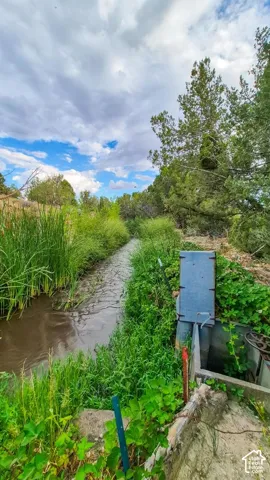 Natural water feature bordered by dense native grasses, mature trees, and an integrated metal irrigation control structure