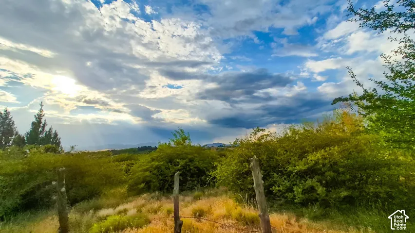 Expansive lot featuring mature trees, natural vegetation, and distant mountain topography