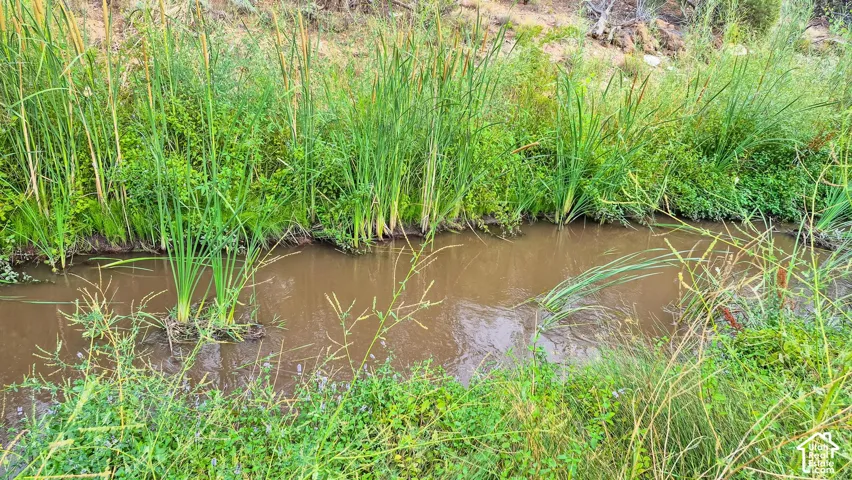 Natural water feature bordered by native vegetation and aquatic grasses