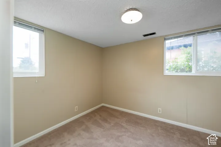 Neutral-toned room featuring wall-to-wall carpeting, two windows with blinds, and a dome ceiling light fixture