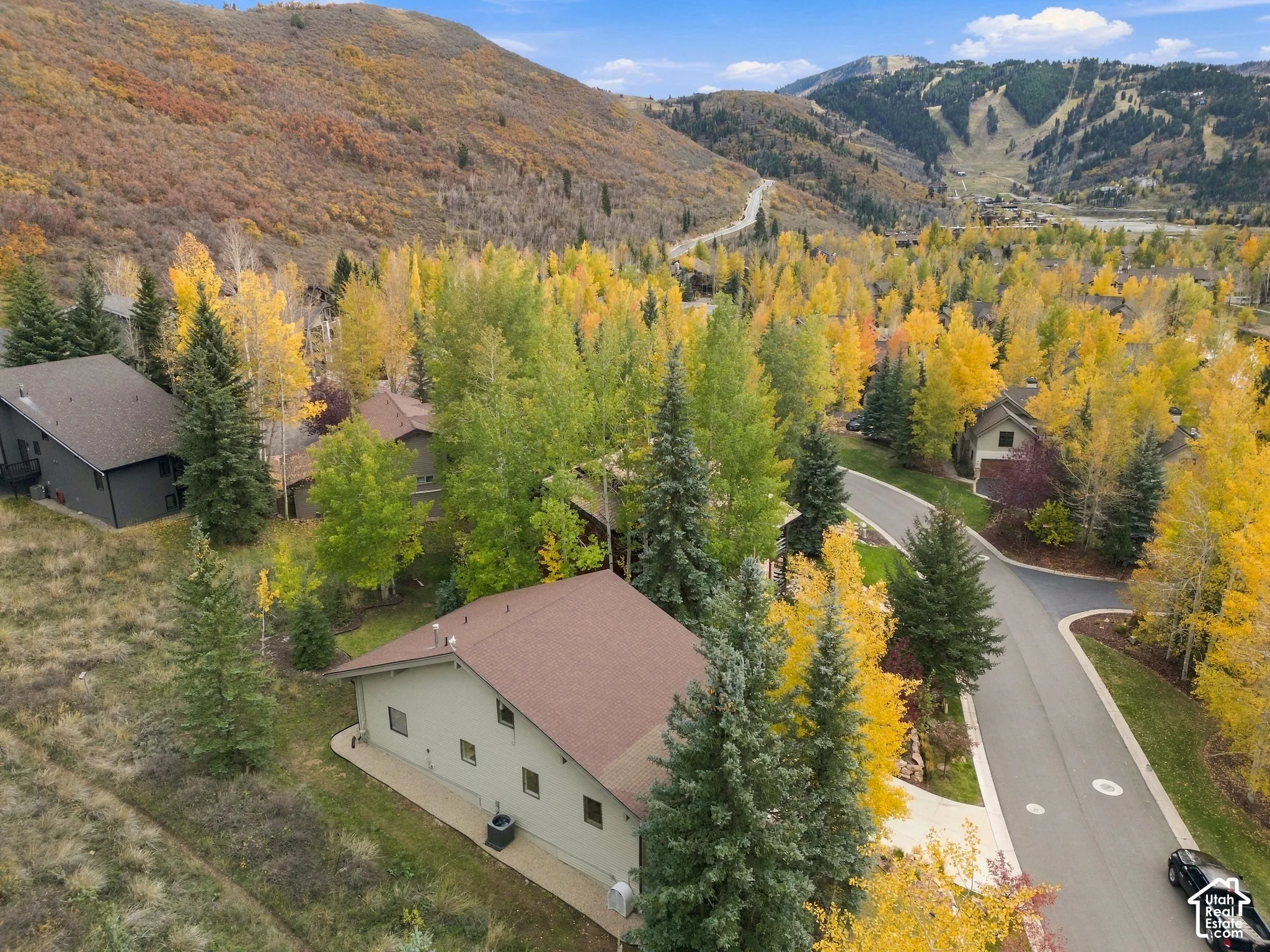 Aerial perspective featuring mountain topography, mature evergreen and deciduous trees, and paved roadway infrastructure