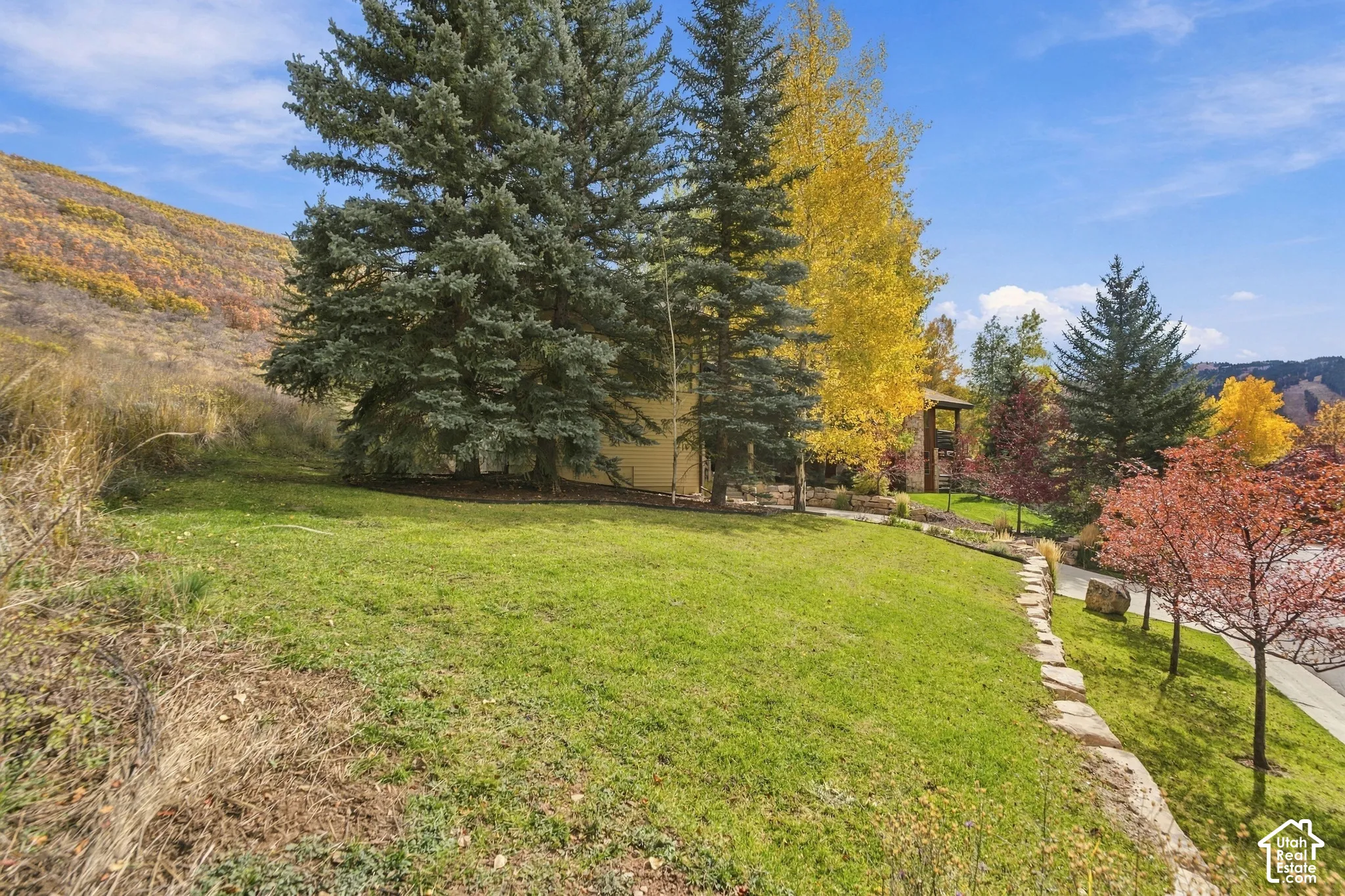 Expansive grounds featuring mature evergreen and deciduous trees, a natural landscape, and stone retaining wall bordering an asphalt driveway