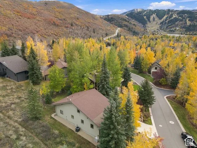 Aerial perspective featuring mountain topography, mature evergreen and deciduous trees, and paved roadway infrastructure