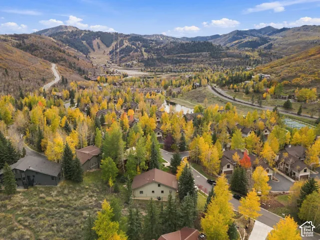 Aerial perspective featuring mountainous topography, dense clusters of deciduous and coniferous trees, and paved thoroughfares