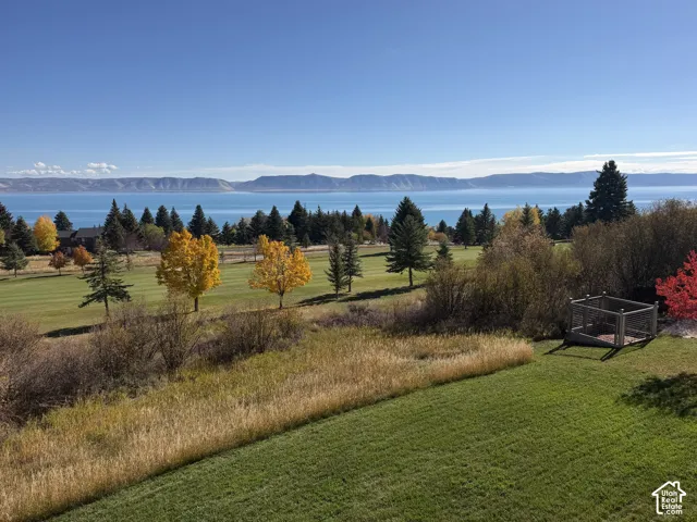 Expansive grounds featuring a manicured lawn, native grasses, mature evergreen and deciduous trees, a fenced enclosure, and a backdrop of open water and mountain terrain