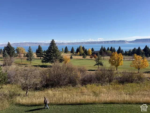 Expansive landscape featuring mature evergreen and deciduous trees, manicured grounds, and open water scenery with mountain backdrops